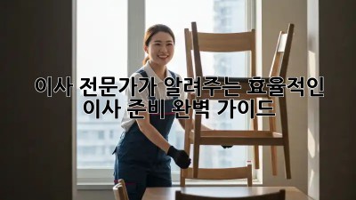 이사 전문가가 알려주는 효율적인 이사 준비 완벽 가이드!