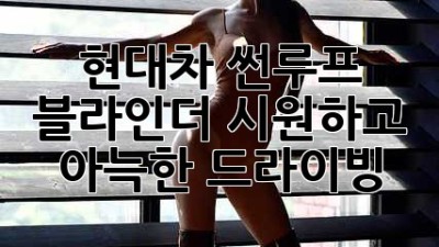 현대차 썬루프 블라인더: 시원하고 아늑한 드라이빙