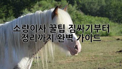 소량이사 꿀팁🍯: 짐싸기부터 정리까지 완벽 가이드!
